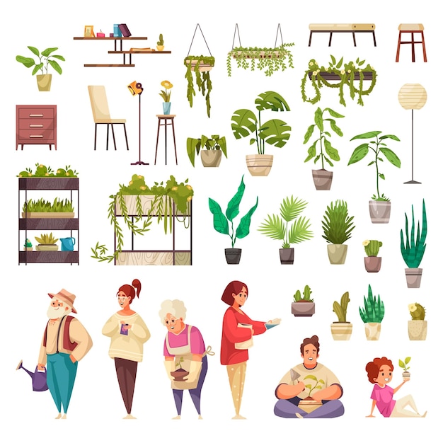 Free vector set of home plants growing in pots or planters furniture and people caring for indoor plants isolated vector illustration