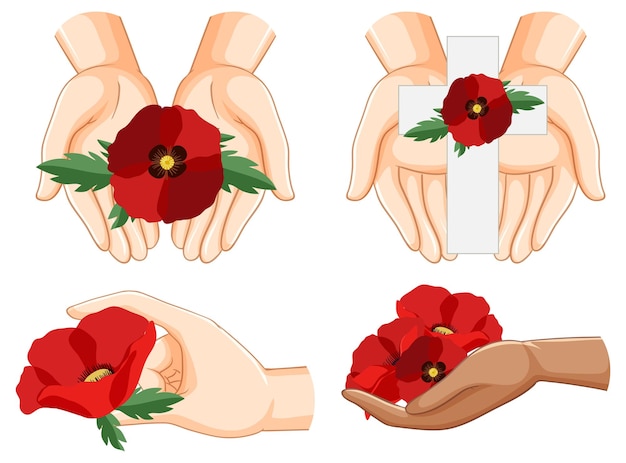 Free vector set of human hands holding poppy flower