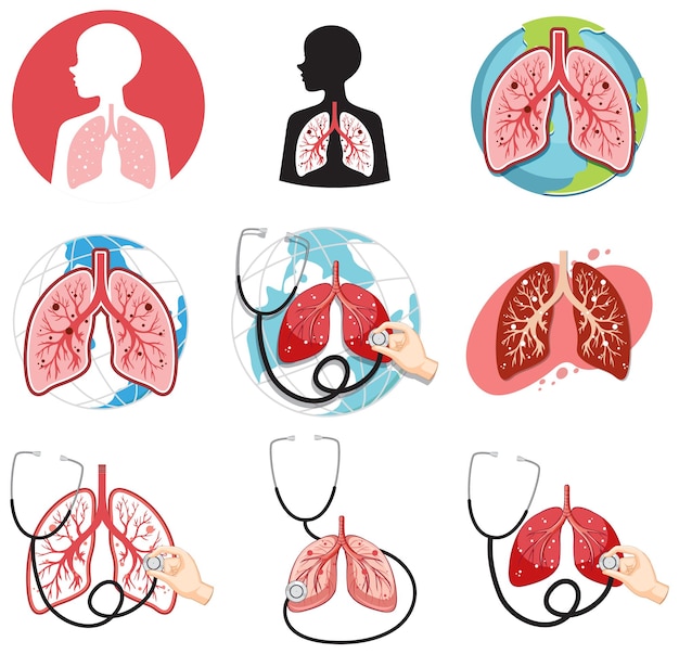 Free vector set of human lungs isolated