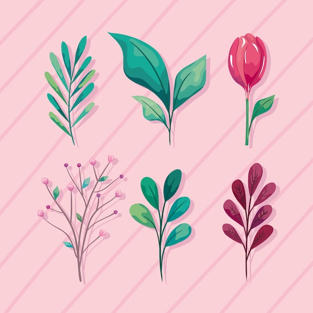 Set of icons with natural foliage