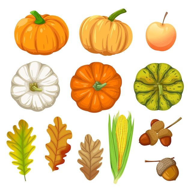 Set of icons with Pumpkin, corn, walnuts and leaves isolated on white.