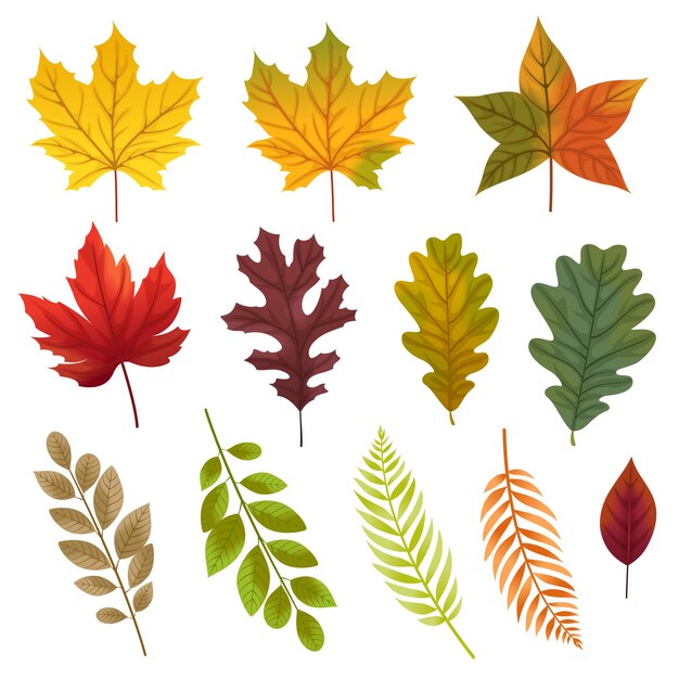 Набор иконок с различными типами листьев.