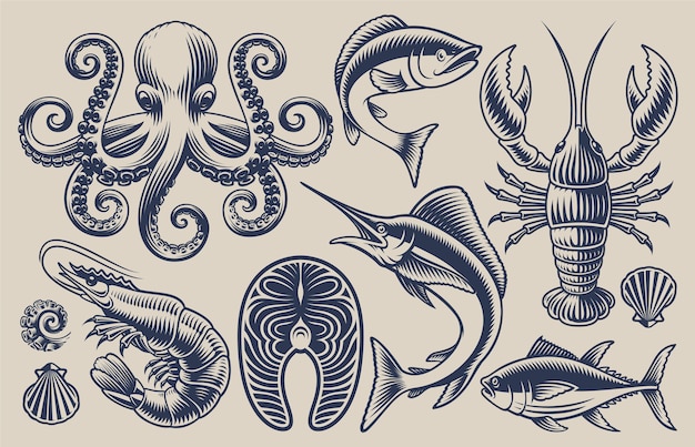 Set ofillustrations for sea food theme on a light background.