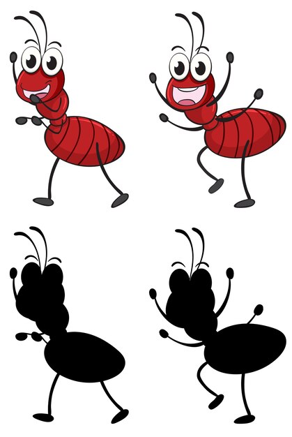 Set of insect cartoon character and its silhouette on white background