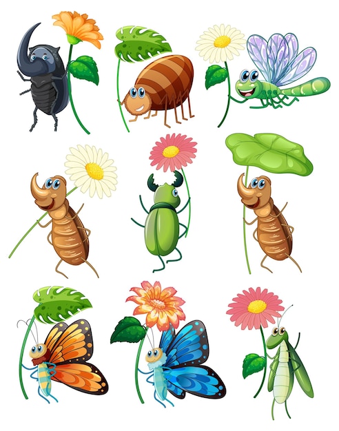 Free vector set of insect cartoon character