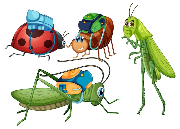 Set of insect cartoon character