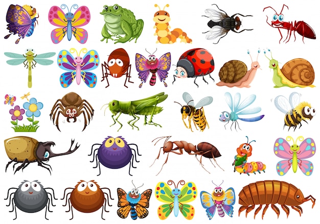 Free vector set of insect character