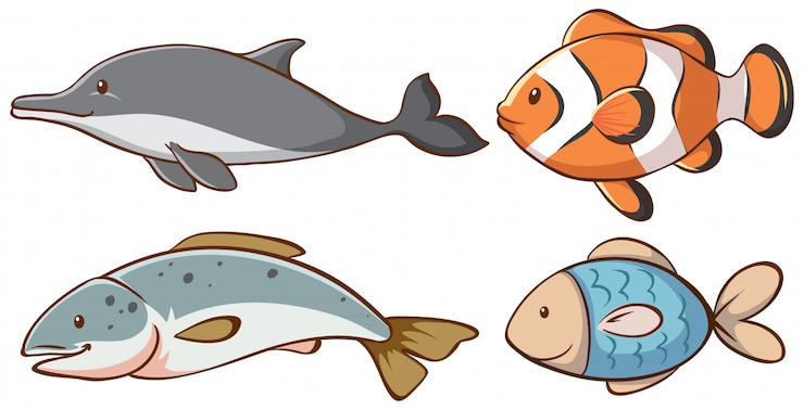 Free Vector set of isolated cute animals