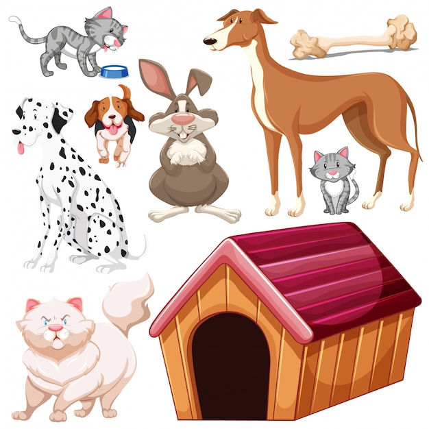 Set of isolated different pets