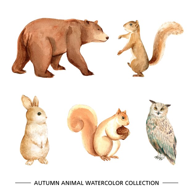 Set of isolated elements of animal watercolor