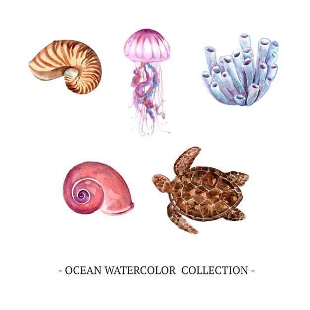 Set of isolated elements of watercolor ocean 
