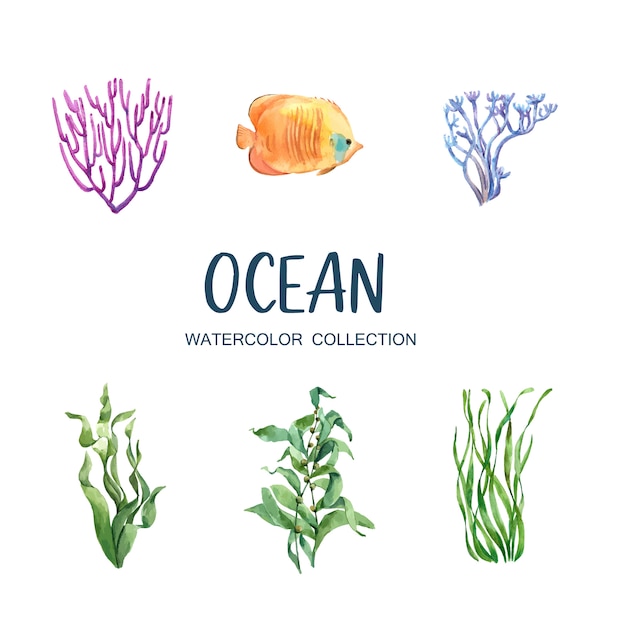 Free vector set of isolated watercolor coral