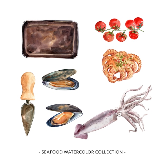 Free vector set of isolated watercolor mussel, squid illustration for decorative use.