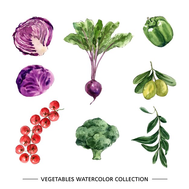 Set of isolated watercolor vegetable