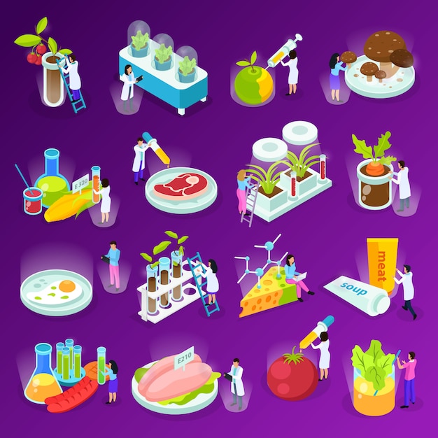 Set of isometric icons with artificial food scientists and laboratory equipment on purple  isolated