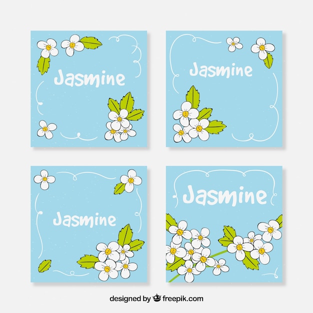 Free vector set of jasmine hand drawn cards