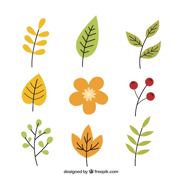 Набор листьев и цветов осенняя осень