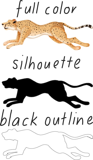 Free vector set of leopard in color, silhouette and black outline on white background