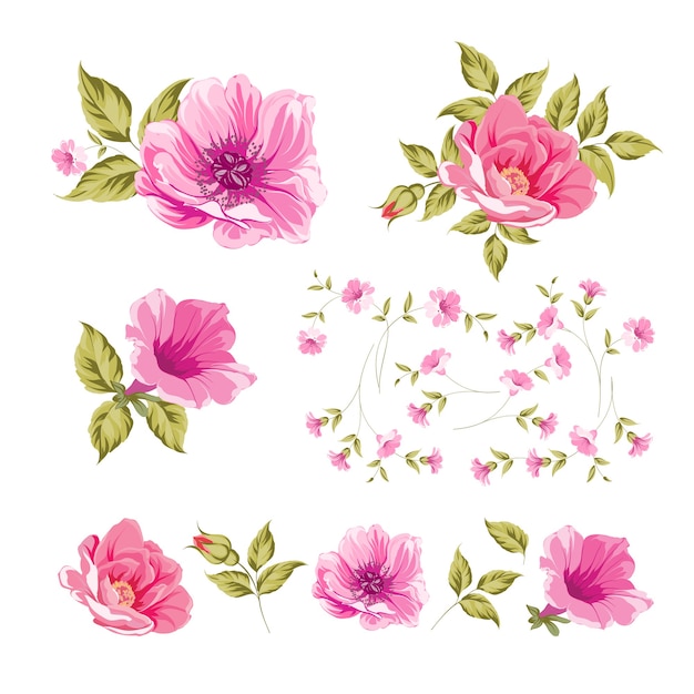 Free vector set of line hand drawing rose.