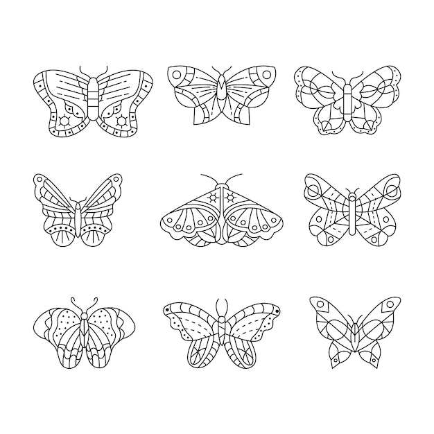 Free vector set of linear flat butterfly outline