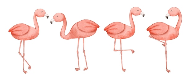 Набор милых фламинго в различных позах и эмоциях, рисующих акварелью