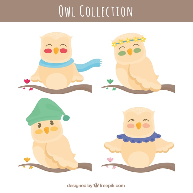 Free vector set of lovely owls