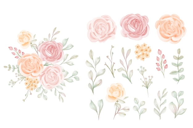 豪華な孤立した桃のバラの花のクリップアートのセット