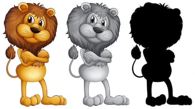 Free vector set of male lion standing