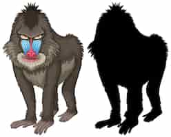 Free vector set of mandrill characters and its silhouette
