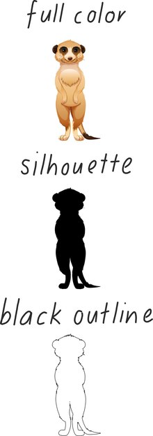 Set of meerkat in color, silhouette and black outline on white background