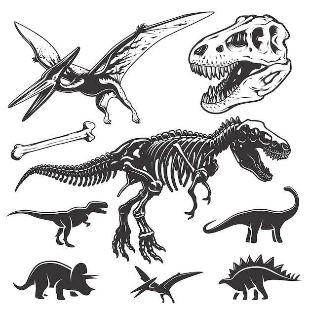 Set of monochrome dinosaurs. Archeology elements. T-rex skull and skeleton. Dinosaurs icons.