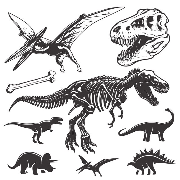 Набор монохромных динозавров. Элементы археологии. Череп и скелет ти-рекса. Иконки динозавров.