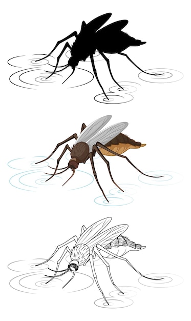Set of mosquito in silhouette and colour and doodle