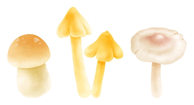 Set di illustrazione di funghi in stile acquerello