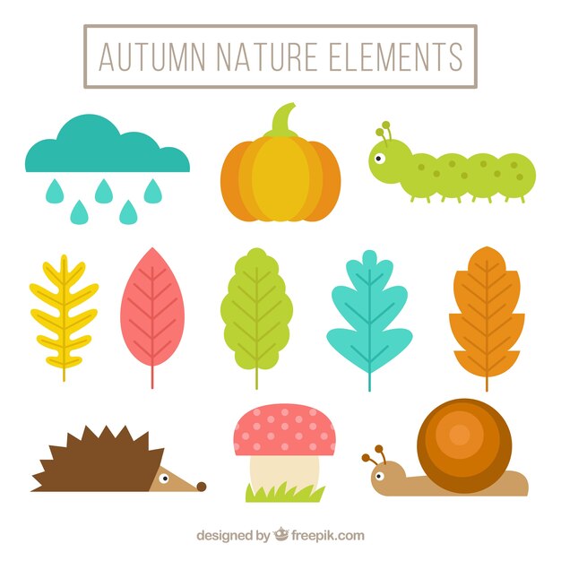 自然秋の要素のセット