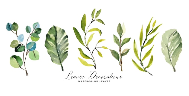 Set of natural blossom leaves branch backdrop in watercolor style