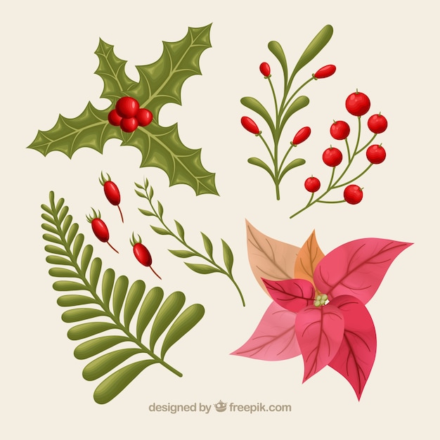 Set of natural christmas elements