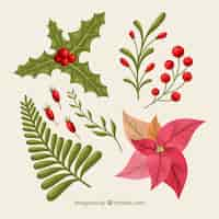 Free vector set of natural christmas elements