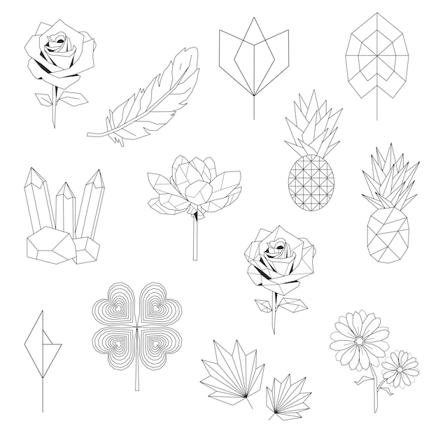 Free vector set of nature linear illustration
