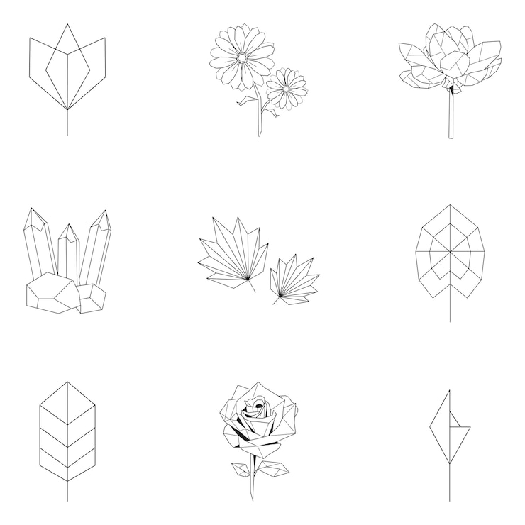 Free Vector set of nature linear illustration