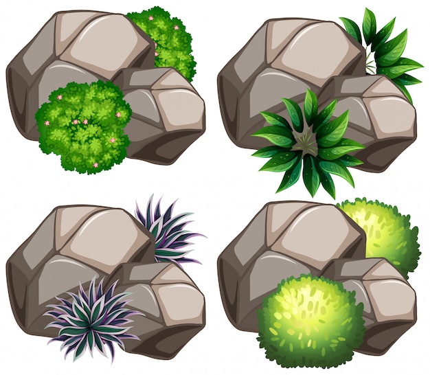 Free vector set of nature rock