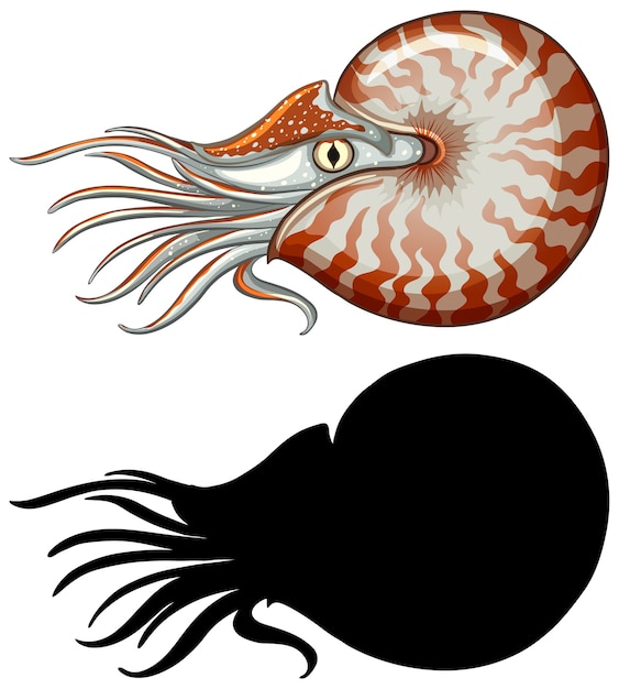 Set of nautilus characters and its silhouette on white