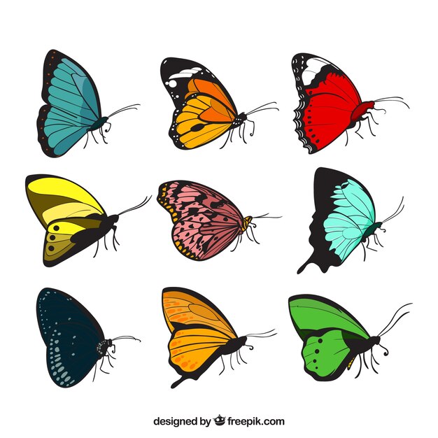 異なるデザインと9蝶のセット