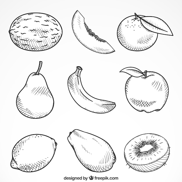 Set of nine hand-drawn pieces of fruit