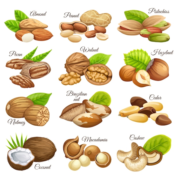 Set of nuts food grains.