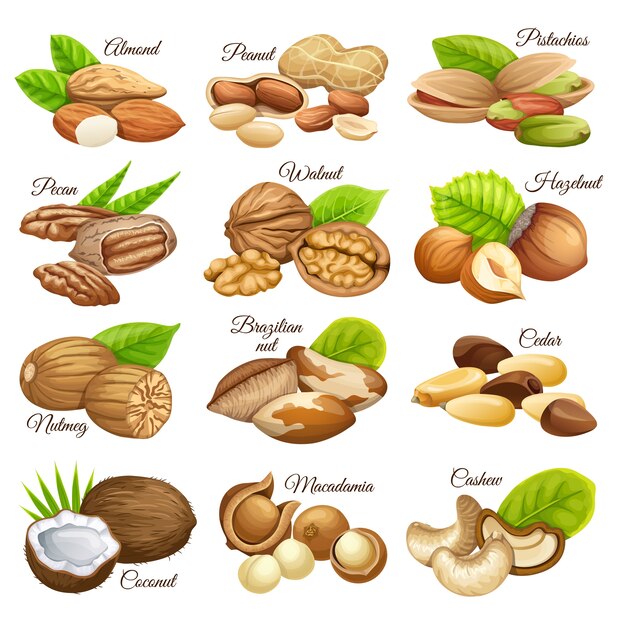 Set of nuts food grains.