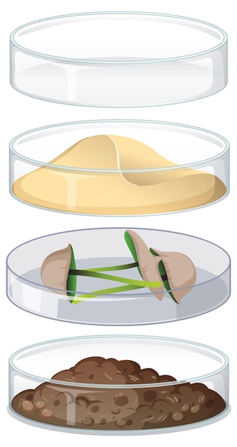 Free vector set of object in petri dish for experiment