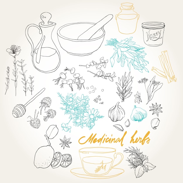 Free vector set of objects and herbs to treat colds.