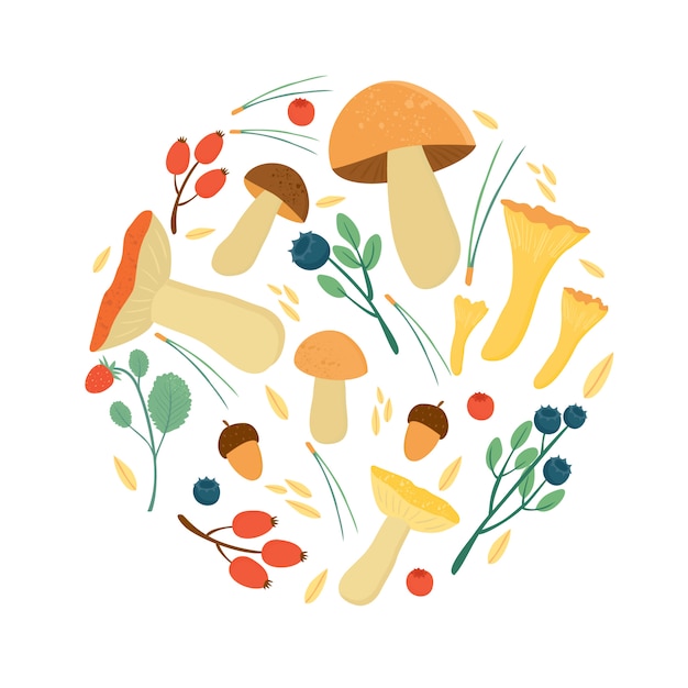 Бесплатное векторное изображение Набор осенних листьев ягод, хвои и грибов. лесной осенний урожай