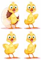 Бесплатное векторное изображение Набор мультфильмов о цыпленке